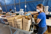 A volunteer loads food into bags at the Alameda Food Bank distribution center in Alameda, CA, on April 15, 2019. The food was distributed later through a drive-through to people in need following the loss of their jobs due to the “shelter-in-place” order to limit the spread of the coronavirus SARS-CoV-2.