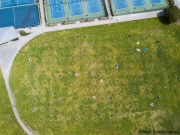 People lay on the grass inside circles drawn to encourage  social distancing at Dolores Park in San Francisco, CA, on  May 21, 2020. This effort marks the city’s latest effort to get back to some sort of normalcy following the long shelter-in-place order while trying to keep the risks of infection from the coronavirus to the minimum.