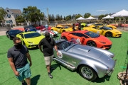 Owners of exotic cars gather at an event in Petaluma, CA, on June 27, 2020, while trying to respect social distancing rules due the ongoing COVID-19 pandemic. The event, held at the Adobe Road Wines winery , was organized by 100|OCT, an exotic car community on the US West Coast  founded by Frenchman Benoit Boningue. The event marked the final destination of a day ride through the region.