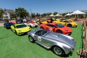 Owners of exotic cars gather at an event in Petaluma, CA, on June 27, 2020, while trying to respect social distancing rules due the ongoing COVID-19 pandemic. The event, held at the Adobe Road Wines winery , was organized by 100|OCT, an exotic car community on the US West Coast  founded by Frenchman Benoit Boningue. The event marked the final destination of a day ride through the region.