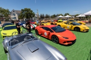 Owners of exotic cars gather at an event in Petaluma, CA, on June 27, 2020, while trying to respect social distancing rules due the ongoing COVID-19 pandemic. The event, held at the Adobe Road Wines winery , was organized by 100|OCT, an exotic car community on the US West Coast  founded by Frenchman Benoit Boningue. The event marked the final destination of a day ride through the region.