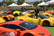 Owners of exotic cars gather at an event in Petaluma, CA, on June 27, 2020, while trying to respect social distancing rules due the ongoing COVID-19 pandemic. The event, held at the Adobe Road Wines winery , was organized by 100|OCT, an exotic car community on the US West Coast  founded by Frenchman Benoit Boningue. The event marked the final destination of a day ride through the region.