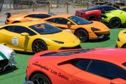 Owners of exotic cars gather at an event in Petaluma, CA, on June 27, 2020, while trying to respect social distancing rules due the ongoing COVID-19 pandemic. The event, held at the Adobe Road Wines winery , was organized by 100|OCT, an exotic car community on the US West Coast  founded by Frenchman Benoit Boningue. The event marked the final destination of a day ride through the region.