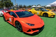 Owners of exotic cars gather at an event in Petaluma, CA, on June 27, 2020, while trying to respect social distancing rules due the ongoing COVID-19 pandemic. The event, held at the Adobe Road Wines winery , was organized by 100|OCT, an exotic car community on the US West Coast  founded by Frenchman Benoit Boningue. The event marked the final destination of a day ride through the region.