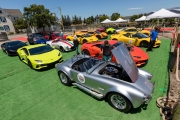 Owners of exotic cars gather at an event in Petaluma, CA, on June 27, 2020, while trying to respect social distancing rules due the ongoing COVID-19 pandemic. The event, held at the Adobe Road Wines winery , was organized by 100|OCT, an exotic car community on the US West Coast  founded by Frenchman Benoit Boningue. The event marked the final destination of a day ride through the region.