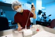 Fertility Institutes